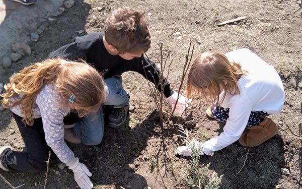 ce_am_ajutat_sa_creasca_mare