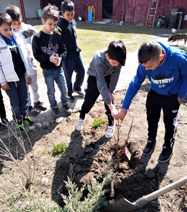 ce_am_ajutat_sa_creasca_mare