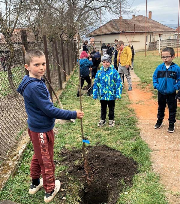 ce_am_ajutat_sa_creasca_mare