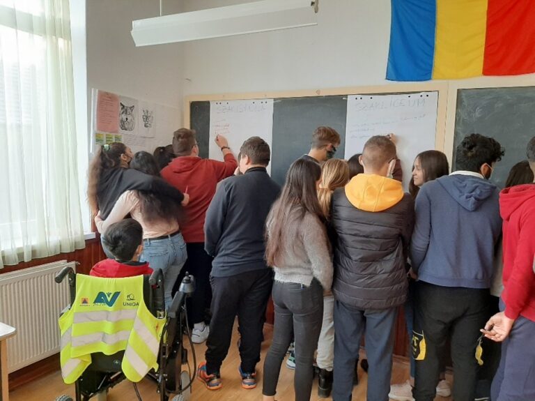 Proiectul prin educatie spre vocatie