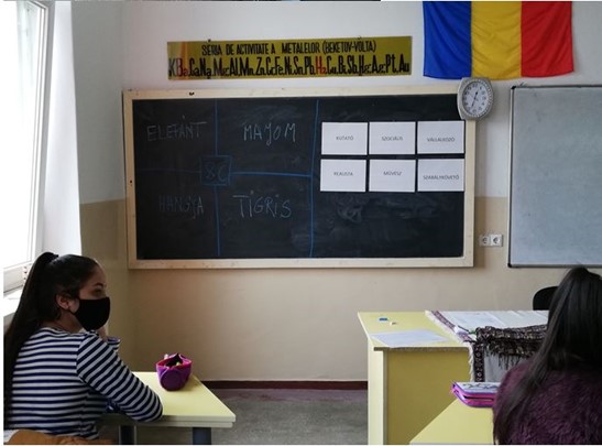 Proiectul prin educatie spre vocatie