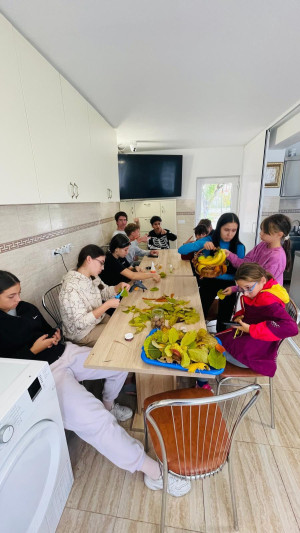 Casa de Tip Familial "Izvorul Tămăduirii" - Oarda de Jos