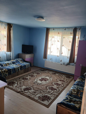 Serviciul de locuire asistată în comunitate pentru viață independentă – locuință protejată, nr. 15 Abrud