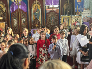 Centrul de Zi pentru Copii "Sf. Nicolae" – Roşia de Secaş