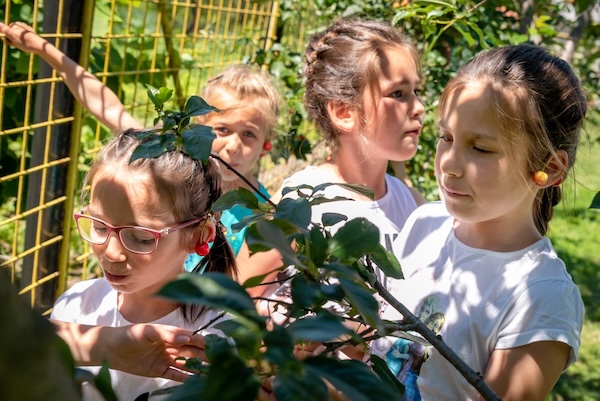 Casa de Tip Familial "Adolescenţa"